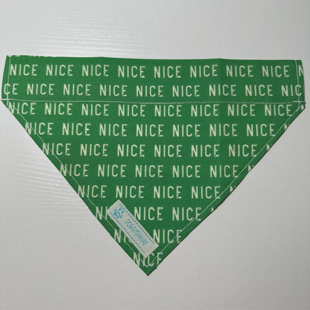 Naughty or NICE? NICE!