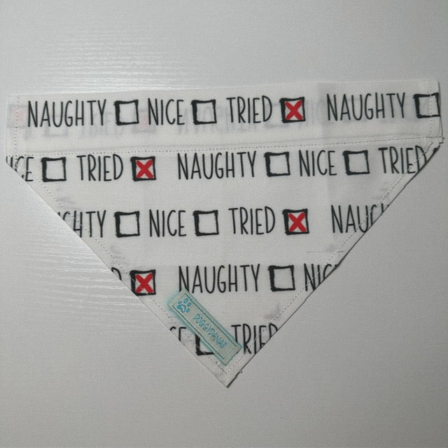 Naughty or Nice? I TRIED!