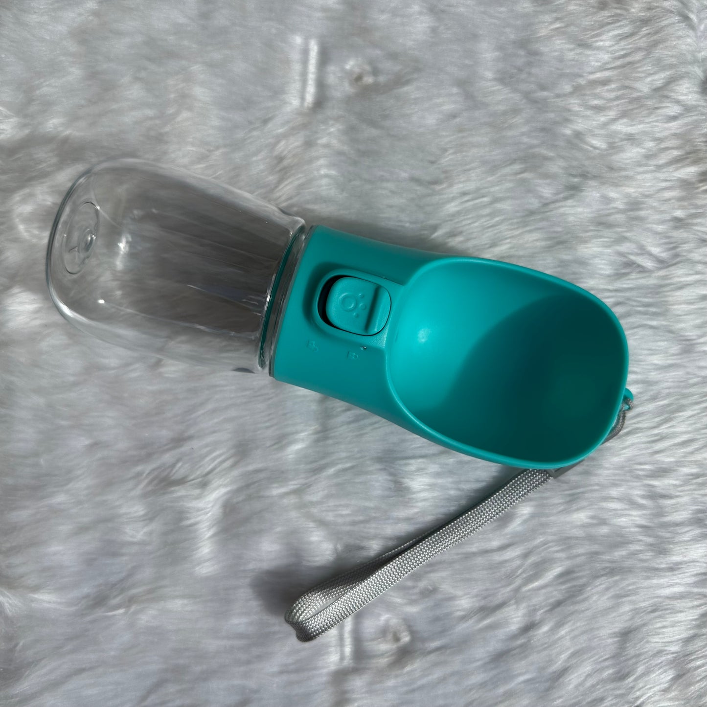 Portable Water Bottle